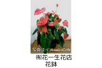 協賛商品