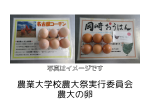 協賛商品